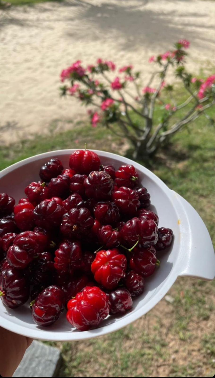 Vila Ybira Taíba Dış mekan fotoğraf